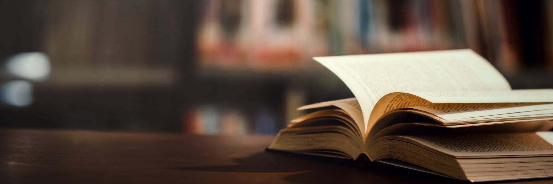 Adana profesyonel hukuk danışmanlığı